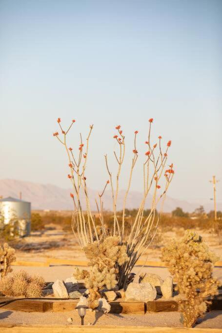 Sun Runner - Serene Desert Home W/Pool & Hot Tub Twentynine Palms Buitenkant foto